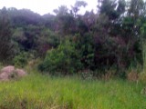 Anchovy, St. James, Jamaica - Residential lot for Sale